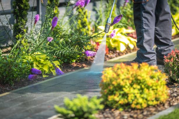 Professional Pressure Washing Services in Montverde, FL